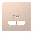 SE Merten D-Life     USB  2,1