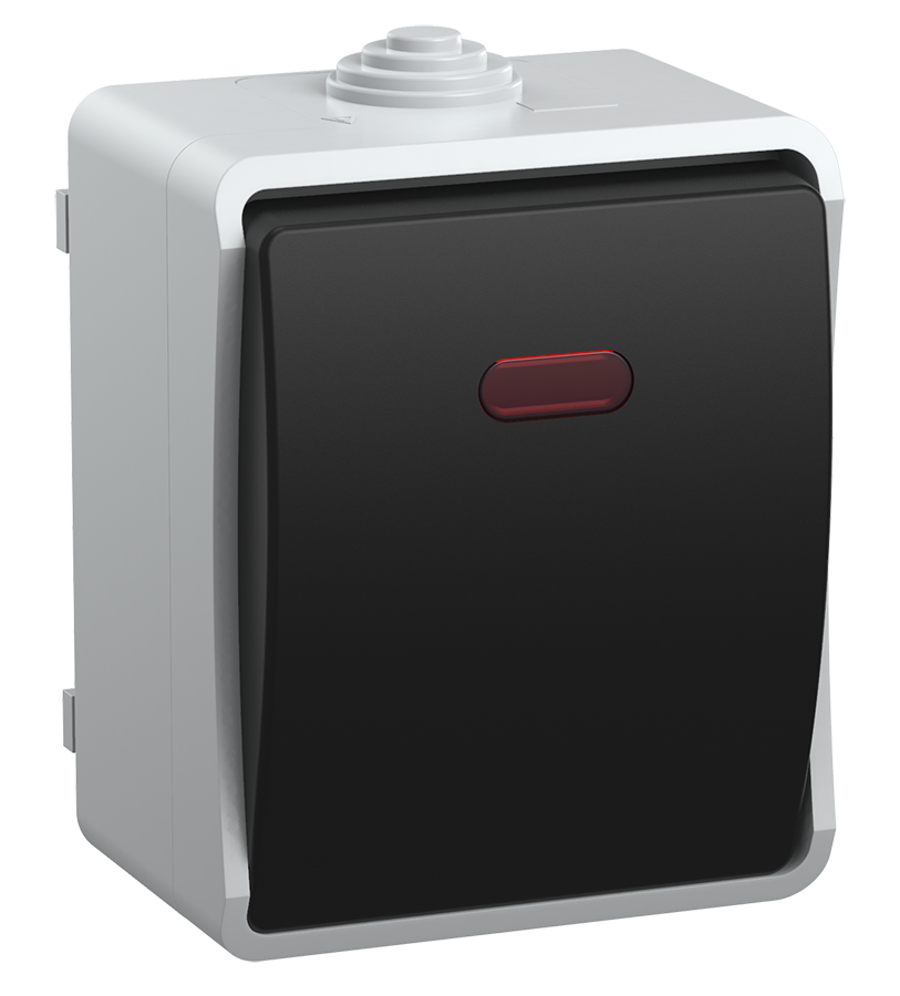 FORS Выключатель 1-клавишный проходной с индикацией для открытой установки 10А IP54 ВС20-1-1-ФСр серый IEK