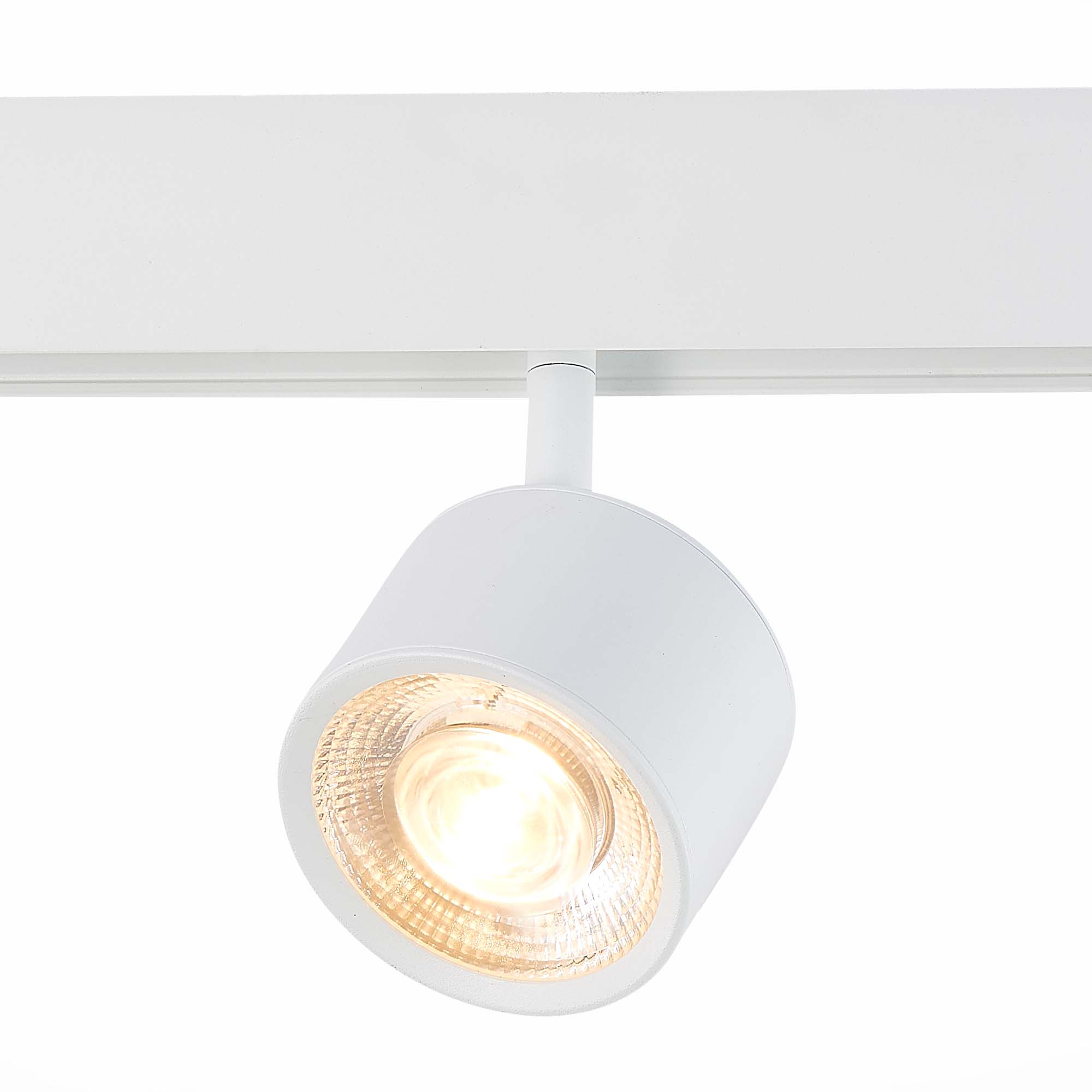 Светильник трековый SKYLINE 48 LED 1х6W