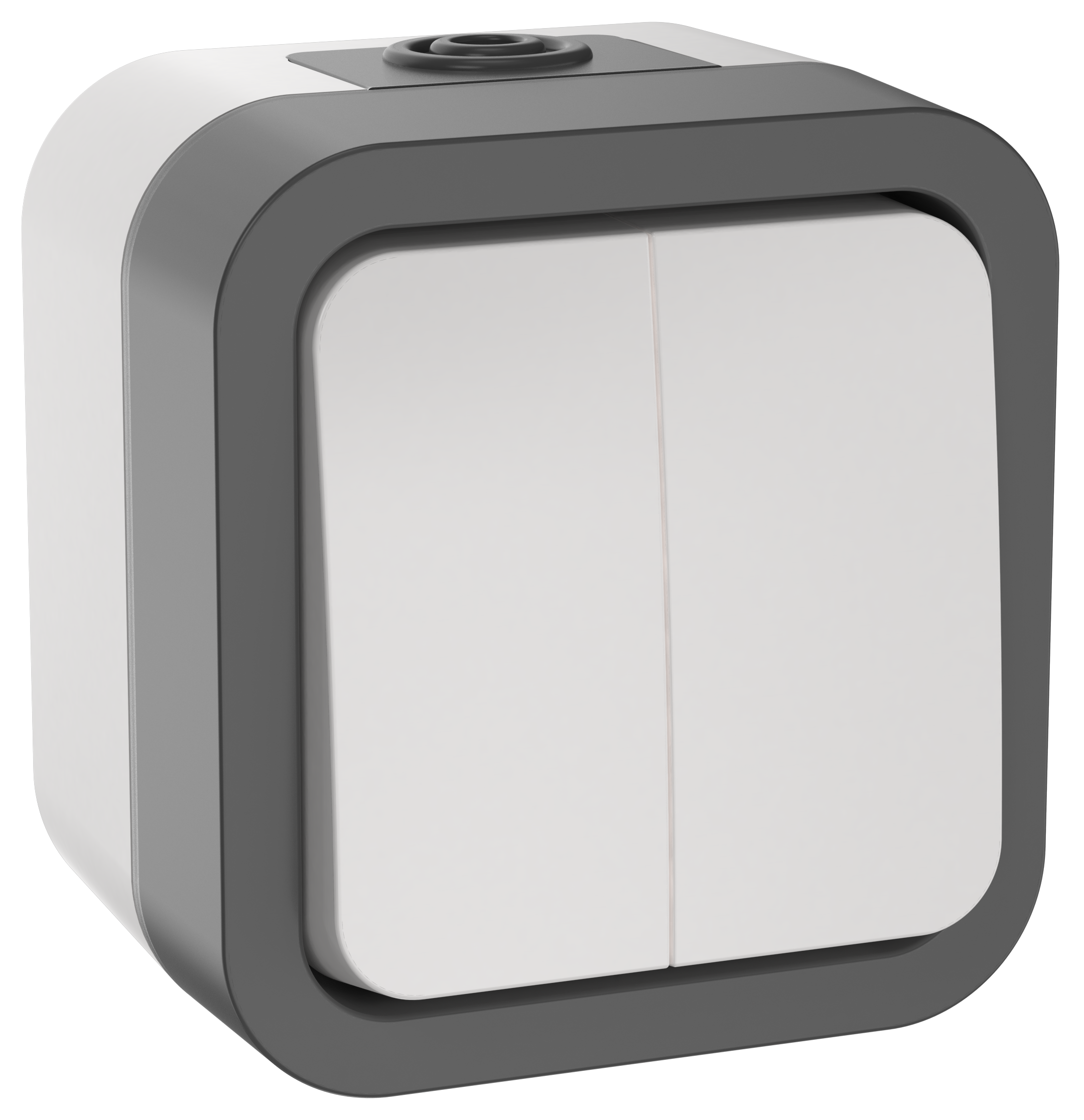 TORS Выключатель двухполюсный одноклавишный 10А IP55 TS111 графит IEK