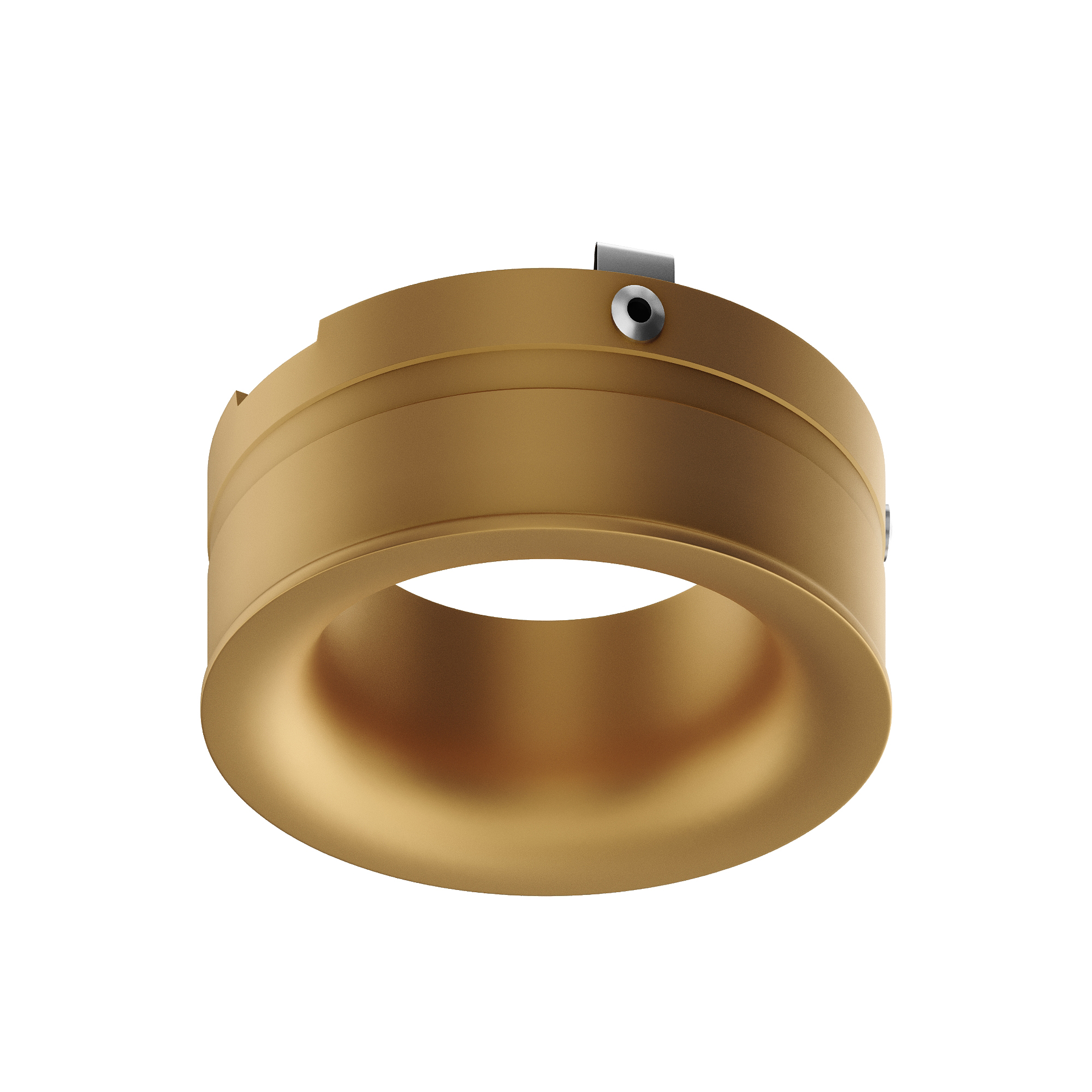 ST218.209.00 Кольцо декоративное ST-Luce Золотистый