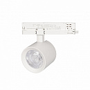  LGD-NIKA-4TR-R100-20W Day4000 (WH, 24 deg, 230V) (Arlight, IP20 , 5 )