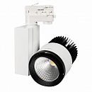   LGD-537WH-40W-4TR Warm White (Arlight, IP20 , 3 )