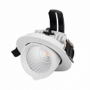  LTD-EXPLORER-R100-12W Day4000 (WH, 38 deg) (Arlight, IP20 , 3 )