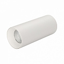  SP-POLO-SURFACE-R65-8W Warm3000 (WH-WH, 40 deg) (Arlight, IP20 , 5 )