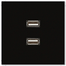 JUNG Мех Розетка USB-удлинитель 2 местная Jung LS Черный (MALS1153SW)