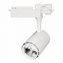   LGD-1530WH-30W-4TR White 24deg (Arlight, IP20 , 3 )