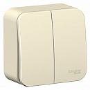 SE Blanca наруж Молочный Выключатель 2-клавишный 6А, 250B, изолир. пластина