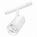  MAG-ORIENT-SPOT-R65-20W Warm3000 (WH, 24 deg, 48V, DALI) (Arlight, IP20 , 3 )