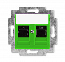 ABB EPJ Levit зелёный / дымчатый чёрный Розетка компьютерная, 2хRJ45 кат,5e, , зелёный
