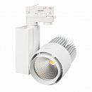   LGD-537WH-40W-4TR Warm White 38deg (Arlight, IP20 , 3 )