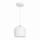  SP-PEONY-HANG-R250-15W Warm3000 (WH, 65 deg, 230V) (Arlight, IP20 , 3 )